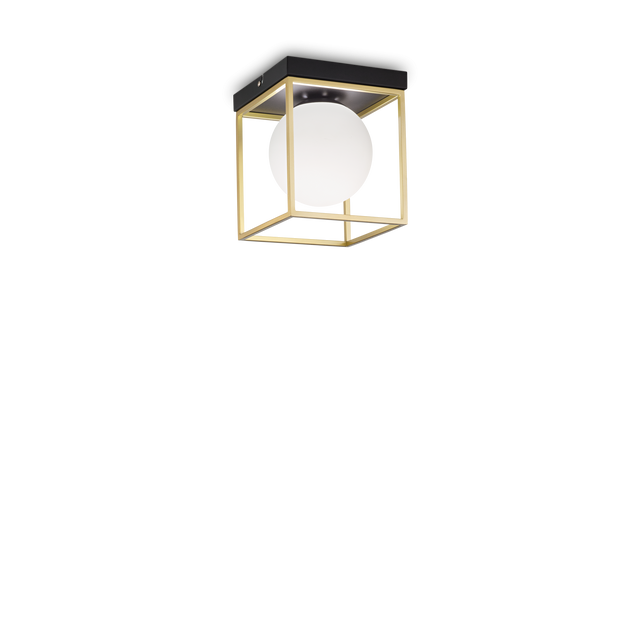 LINGOTTO PL1 BRASS