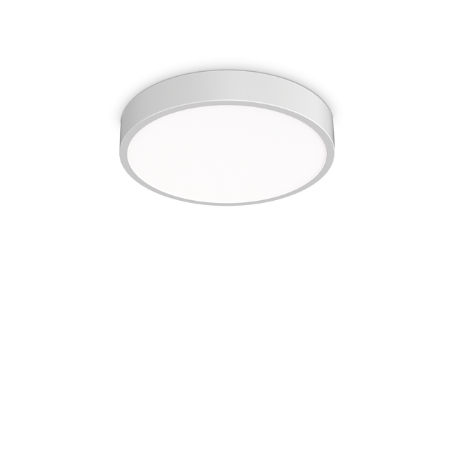 RAY PL D40 WHITE