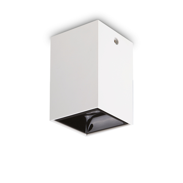 NITRO PL SQUARE D10 WHITE