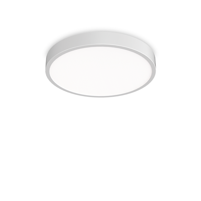 RAY PL D60 WHITE