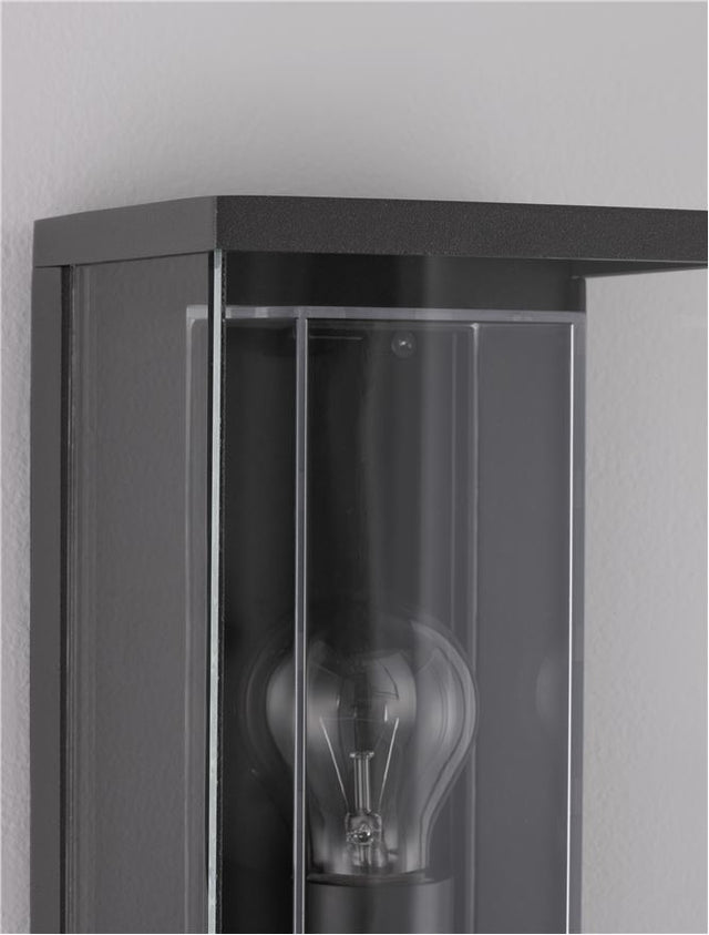 REGINA Anthracite Die-Casting Aluminum & Clear Glass LED E27 1x12 Watt 220-240 Volt Bulb Excluded IP65 L: 15.2 W: 12.2 H: 29.5 cm