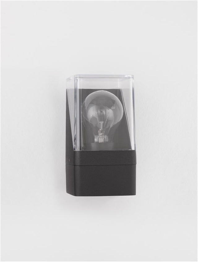 SELENA Anthracite Die-Casting Aluminum & Clear Acrylic LED E27 1x12 Watt 220-240 Volt Bulb Excluded IP65 L: 8.5 W: 9.8 H: 16 cm