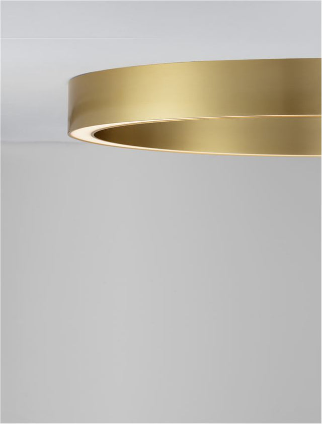 STING Triac Dimmable Brass Gold Aluminium & Acrylic LED 50 Watt 230 Volt 2968 Lm 3000K IP20 D: 80 W: 4 H: 6.5 cm