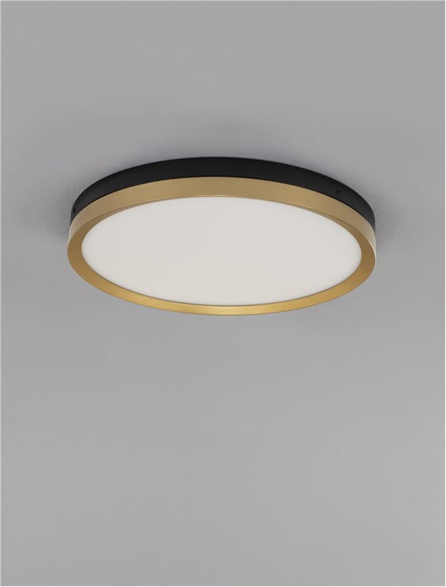 CANTRIA Black & Brass Gold Metal & Acrylic LED 31 Watt 230 Volt 1916Lm 3000K IP20 D: 40 H: 5 cm