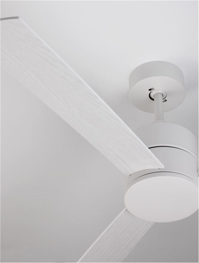 AXEL Fan White Aluminium White & Oak Plywood D: 137.1 cm H: 38.2 cm 6 Speed Remote