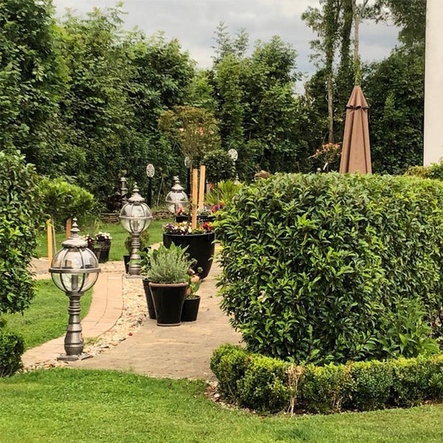 Victorian globe pedestal light in cast iron