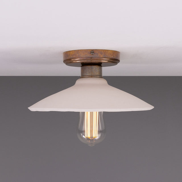 Pyrus Ceiling Light