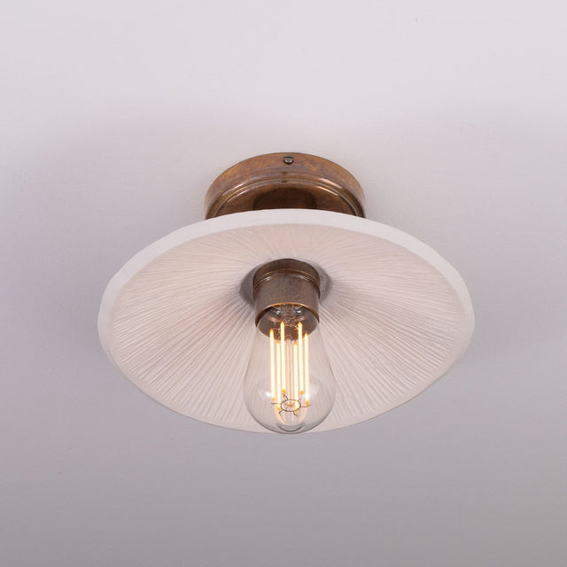 Pyrus Ceiling Light