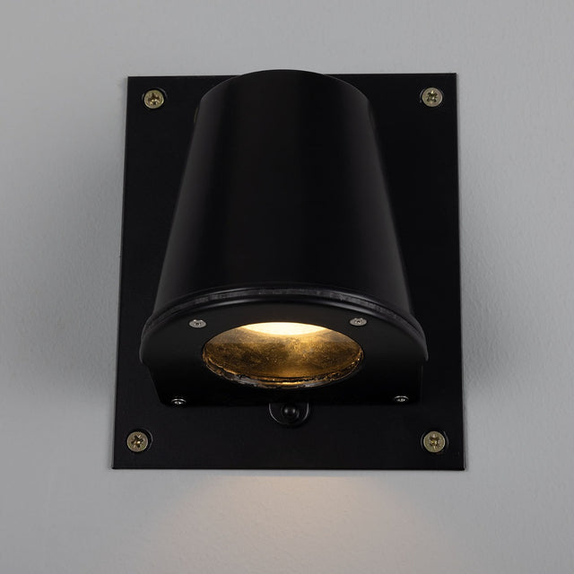 Wade Wall Light With Back Plate