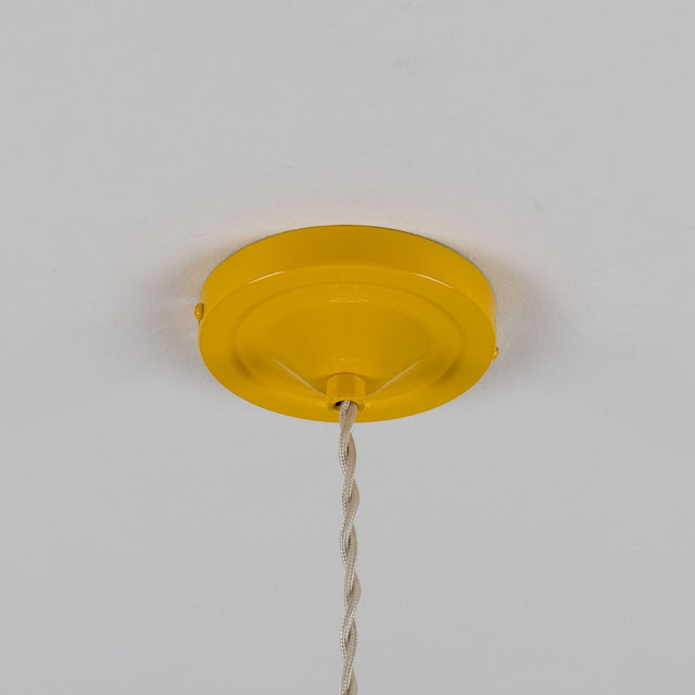 Rio Coloured Pendant Light