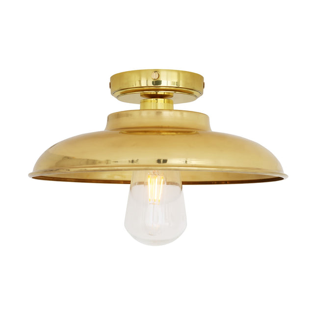 Darya Ceiling Light