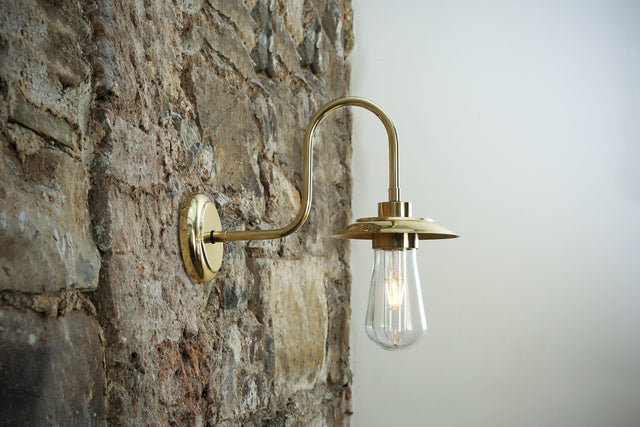 Ren Swan Neck Wall Light