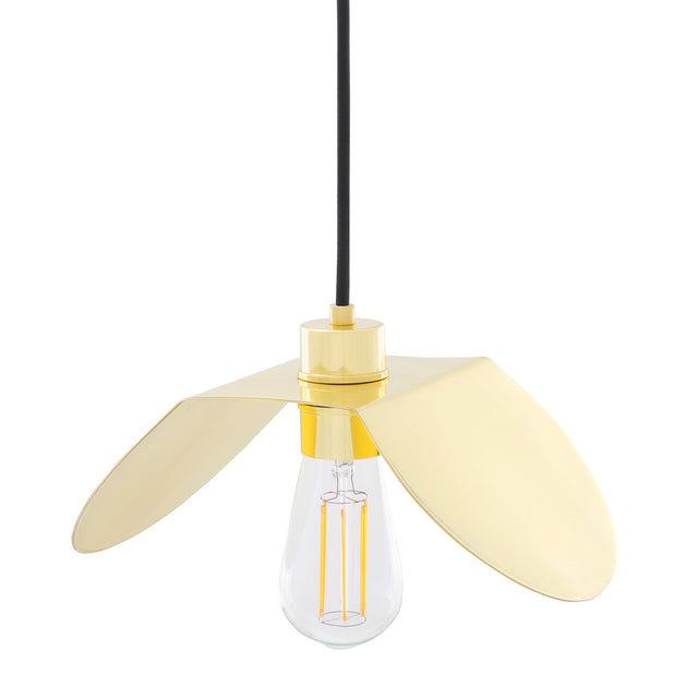 Dodoma Pendant Light