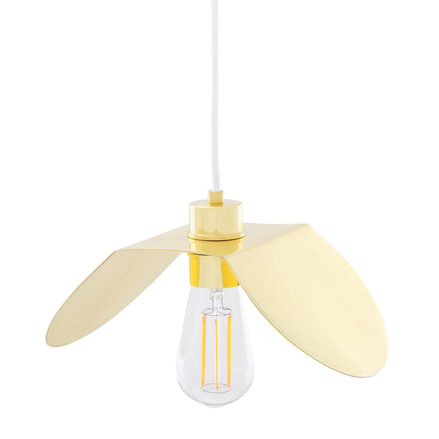 Dodoma Pendant Light