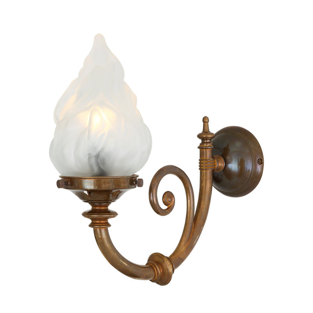 Darwin Wall Light