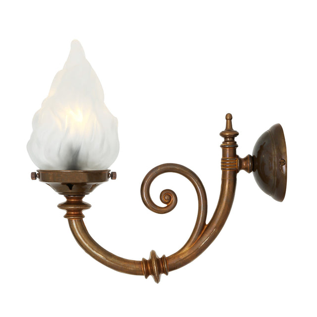 Darwin Wall Light